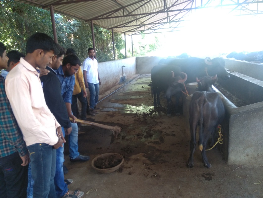 Animal Husbandary And Dairy Animal – Shriram College of Agriculture, Paniv